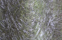 Askwith fibreglass roof work